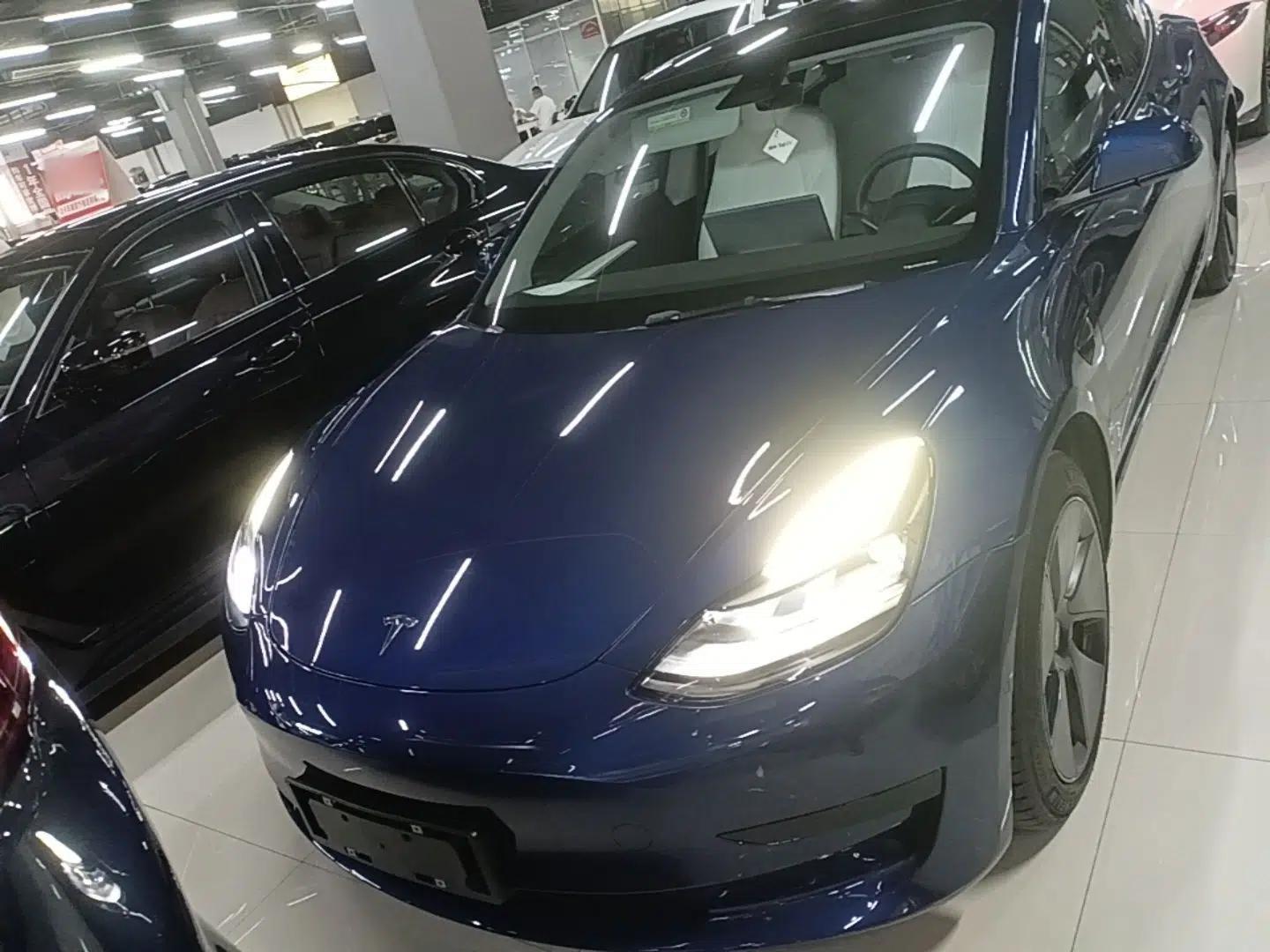 Tesla Model 3 2021 Standard Range Rear-Drive Upgraded Version — миниатюра 2