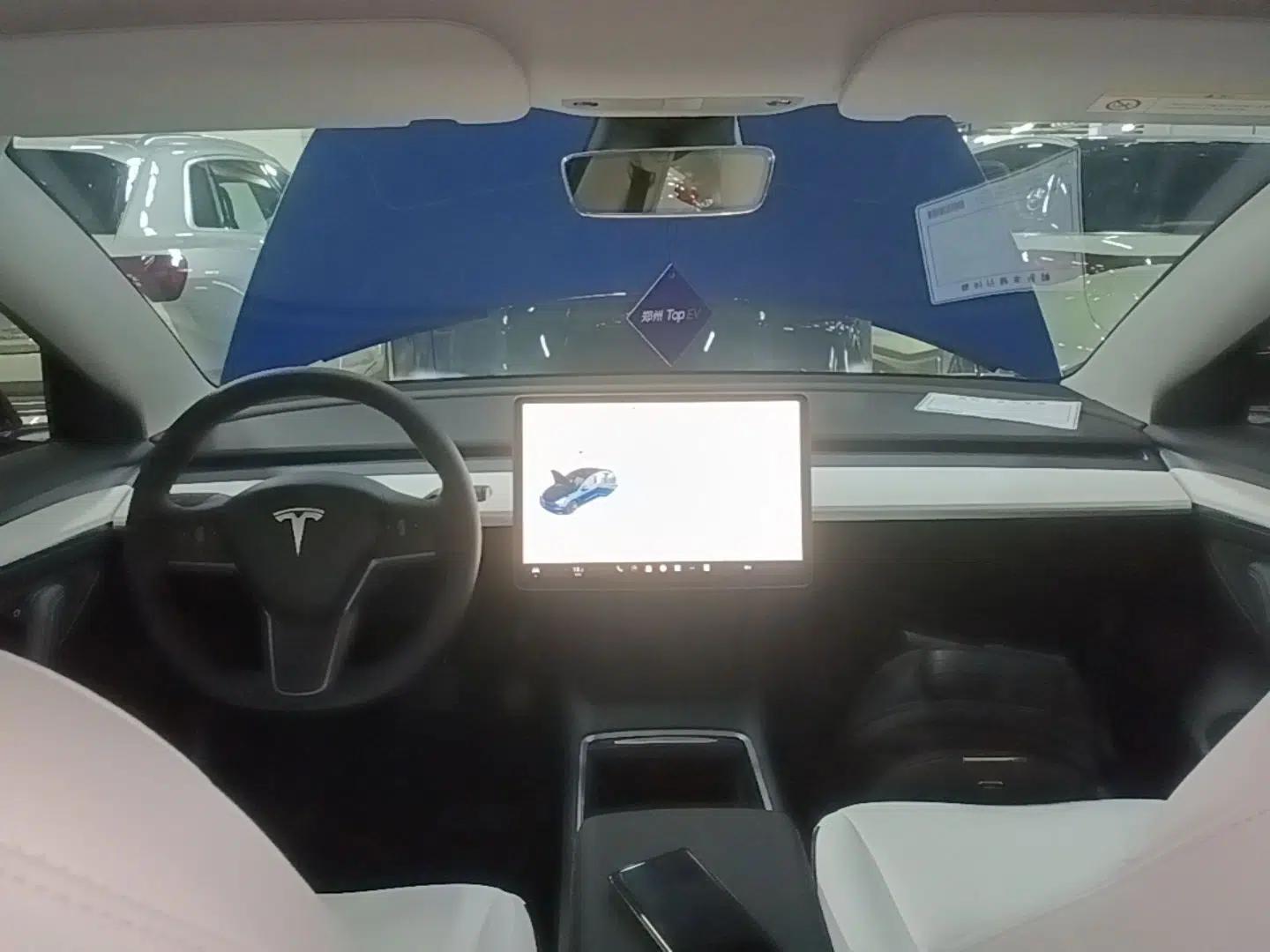 Tesla Model 3 2021 Standard Range Rear-Drive Upgraded Version — миниатюра 12