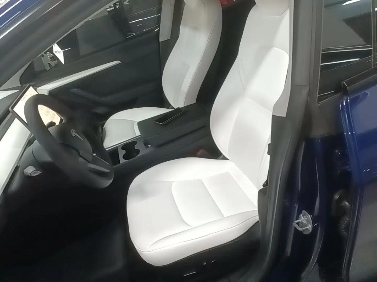 Tesla Model 3 2021 Standard Range Rear-Drive Upgraded Version — миниатюра 17