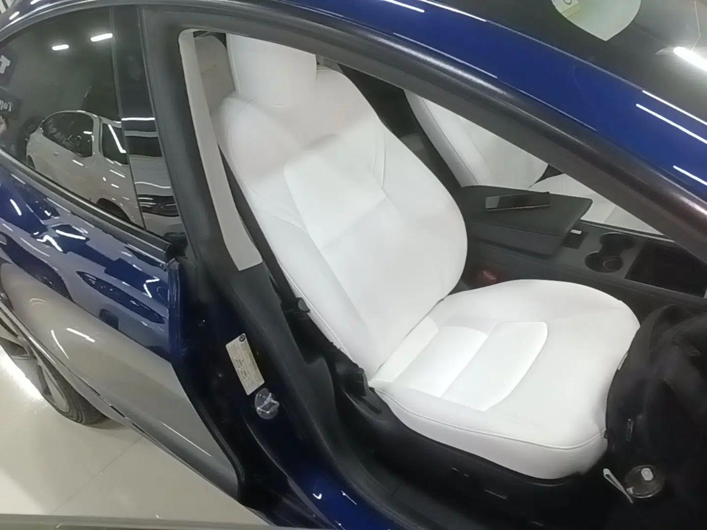 Tesla Model 3 2021 Standard Range Rear-Drive Upgraded Version — миниатюра 19