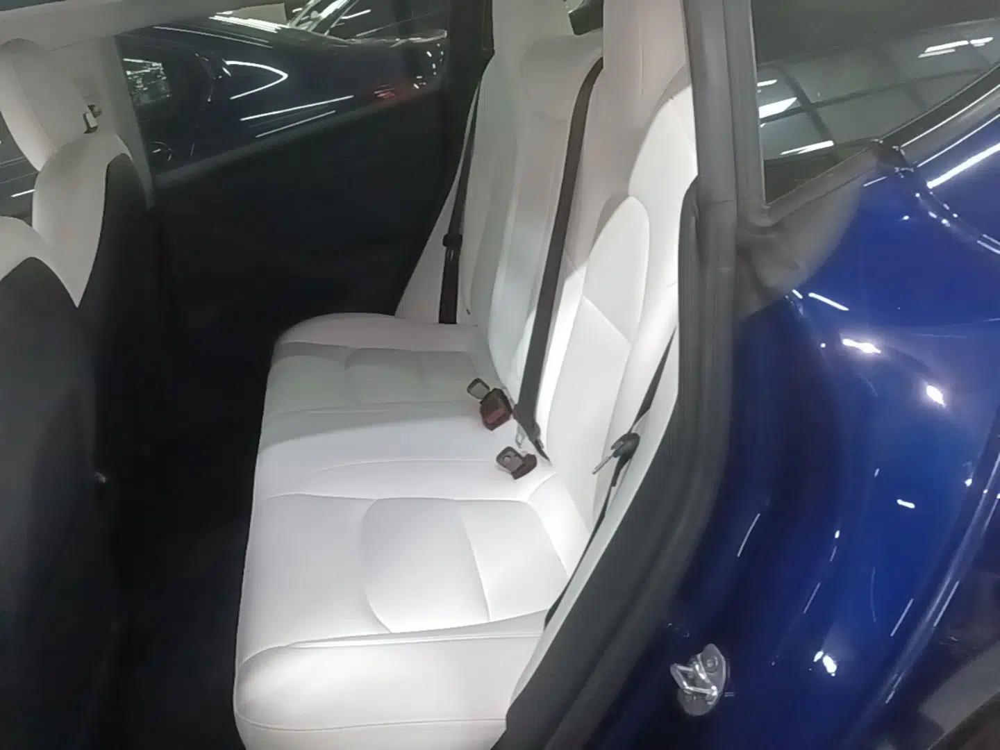Tesla Model 3 2021 Standard Range Rear-Drive Upgraded Version — миниатюра 20