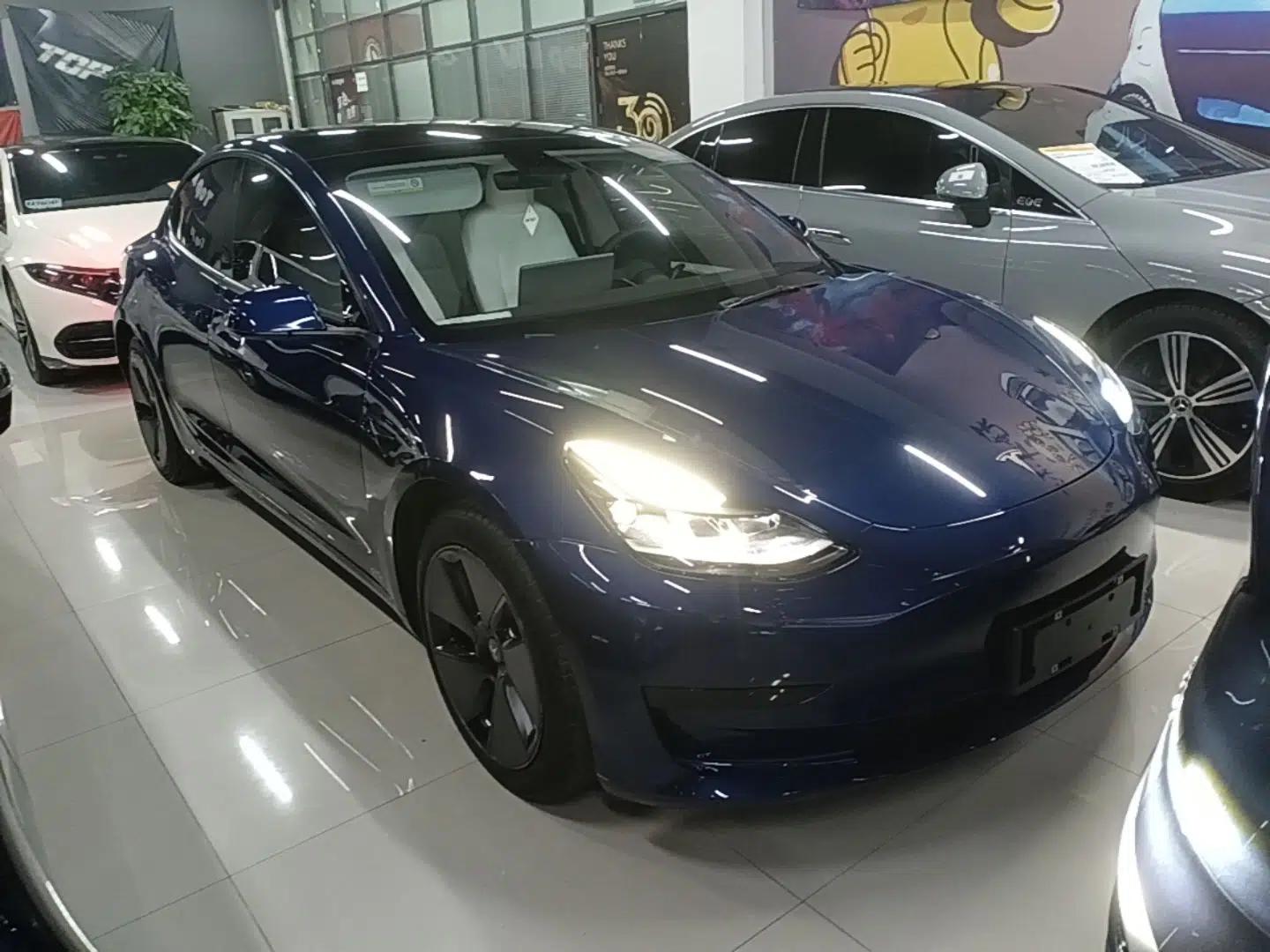 Tesla Model 3 2021 Standard Range Rear-Drive Upgraded Version — миниатюра 3