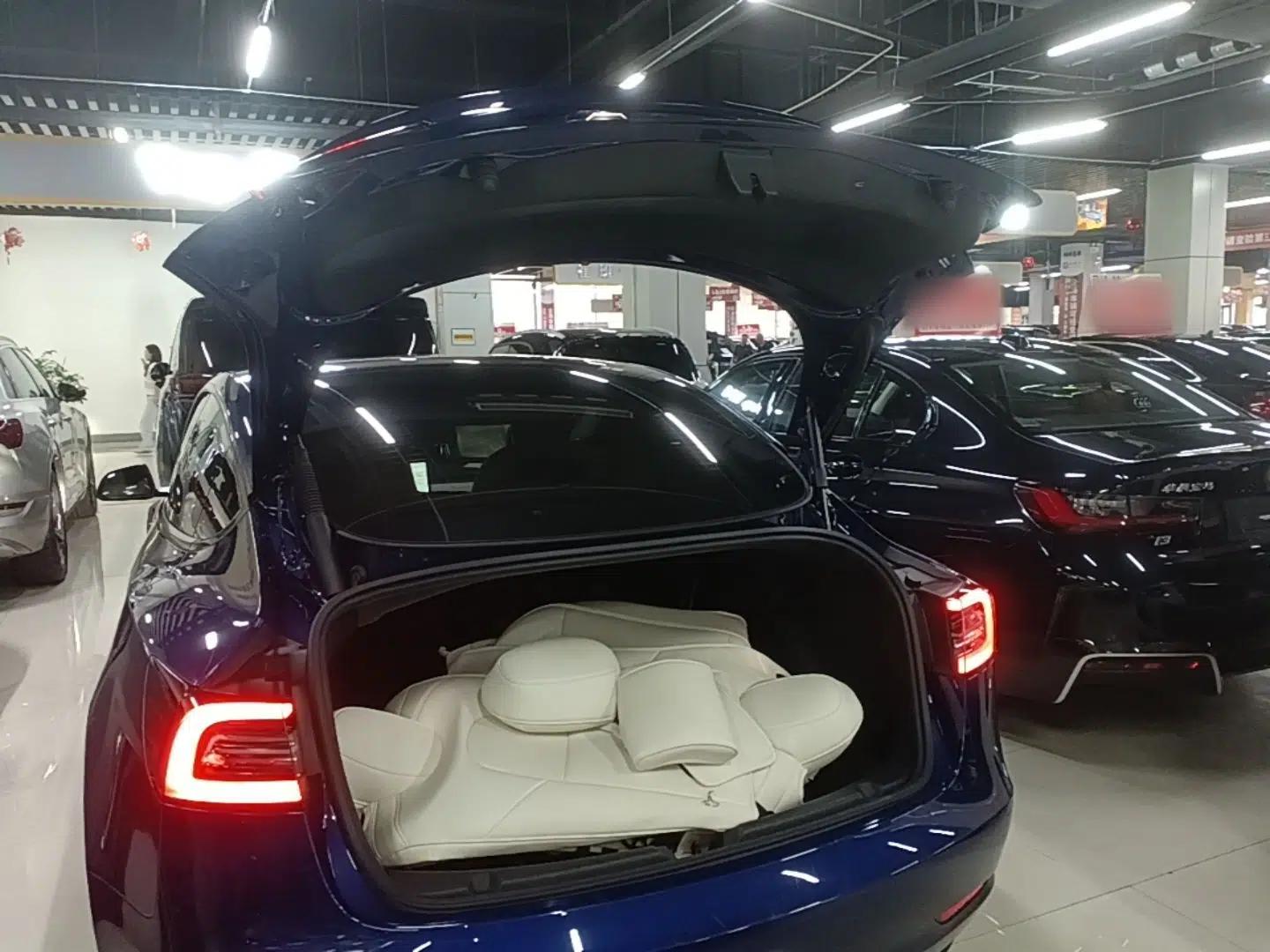 Tesla Model 3 2021 Standard Range Rear-Drive Upgraded Version — миниатюра 22