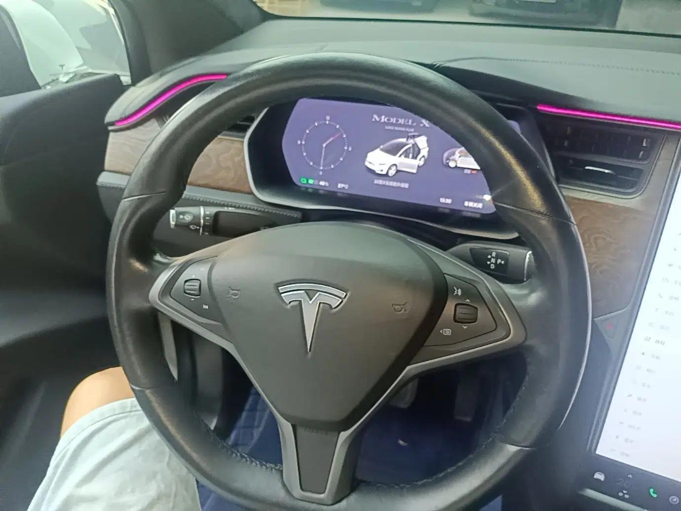 Tesla Model X 2020 Long-Range Upgrade Version — миниатюра 13