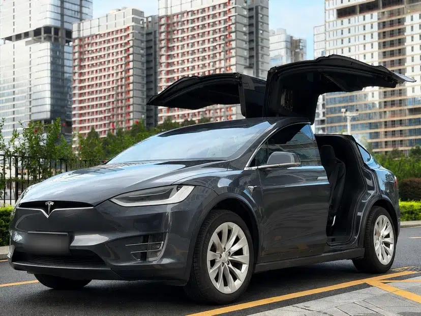 Tesla Model X 2019 Long-Range Version — миниатюра 1