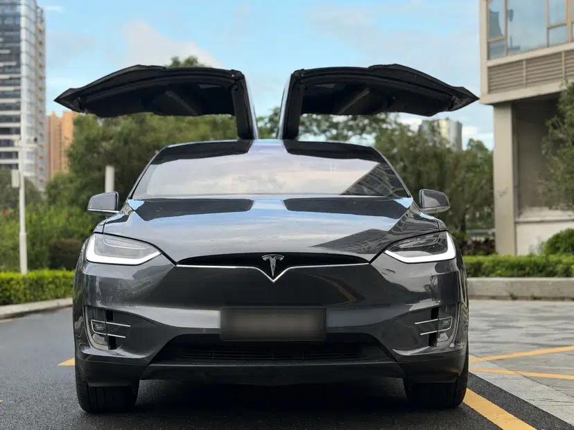 Tesla Model X 2019 Long-Range Version — миниатюра 12