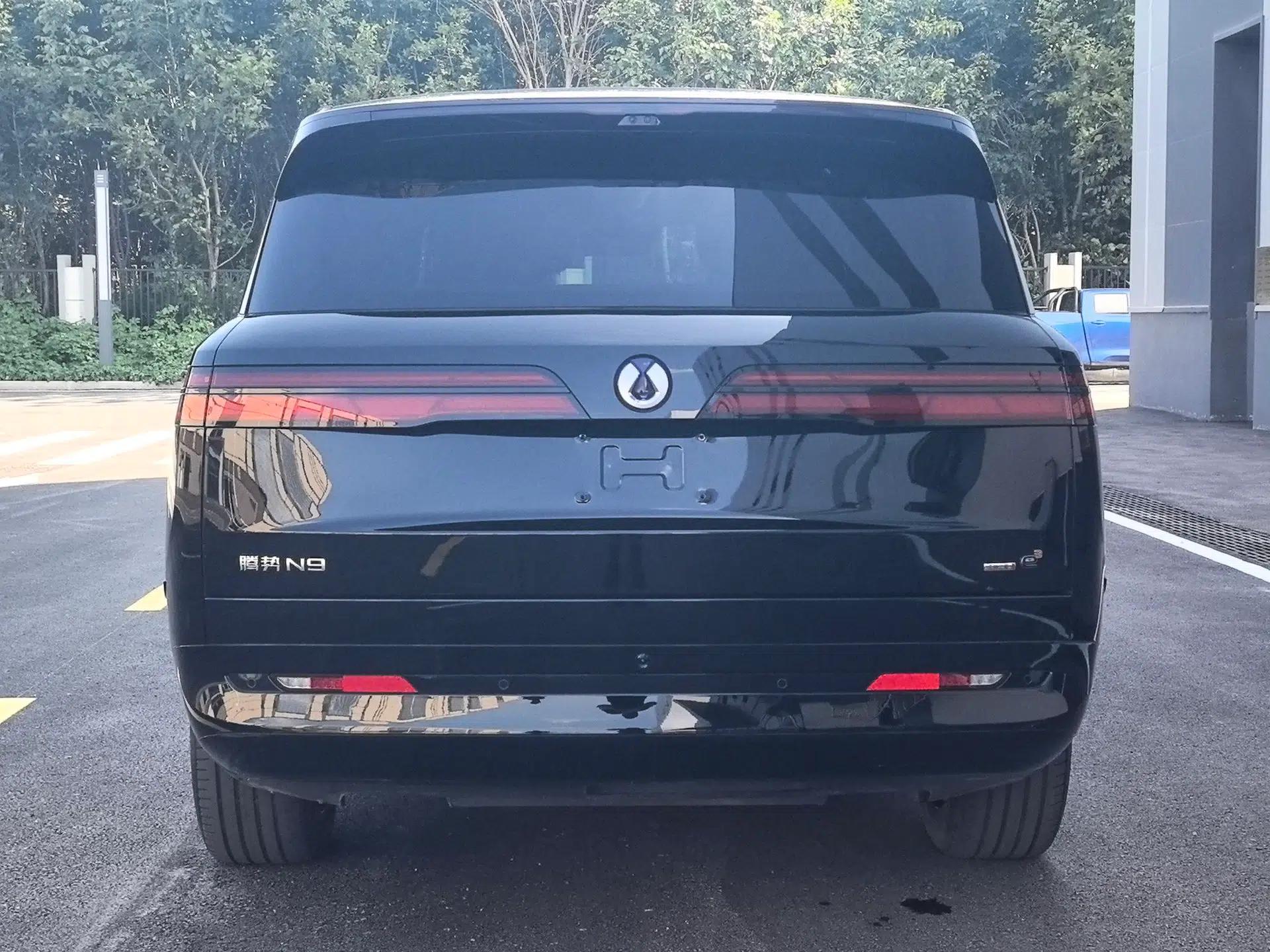Denza N9 2025 Prestige Version — миниатюра 16