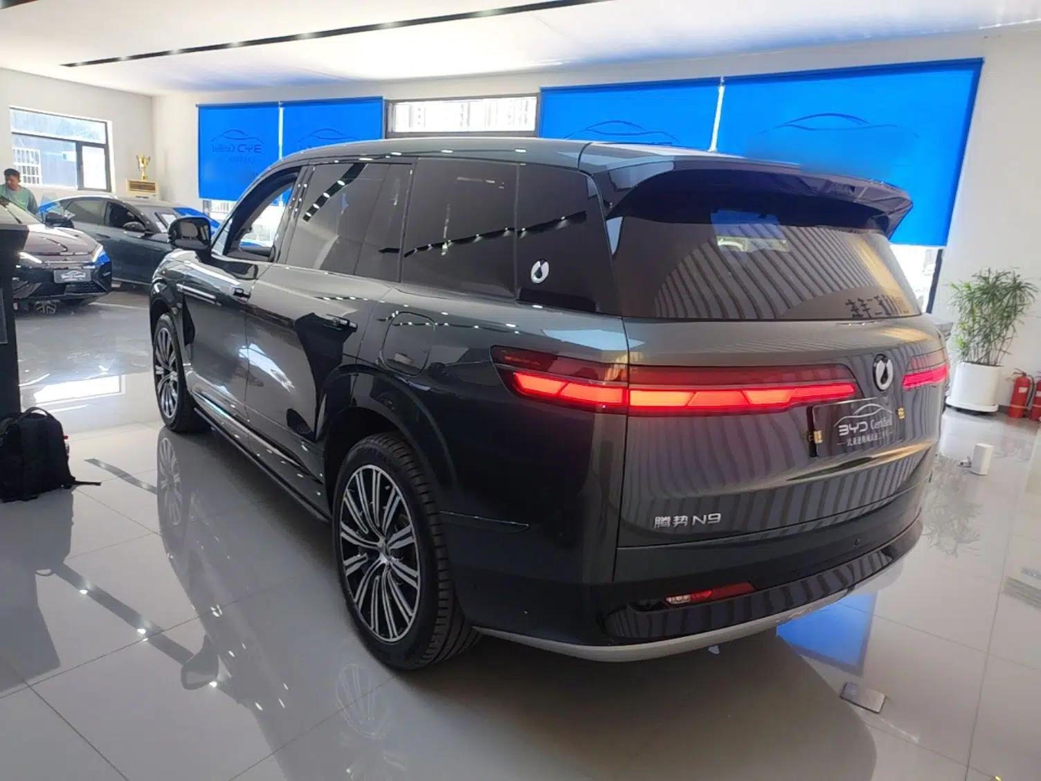 Denza N9 2025 Flagship Model — миниатюра 4