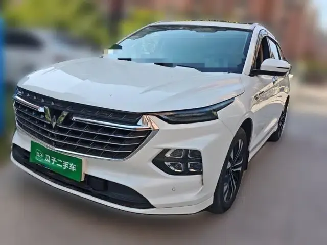 Wuling Victory 2020 1.5T CVT Flagship Edition