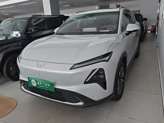 Wuling Xingguang S 2024 130 km Flagship Version