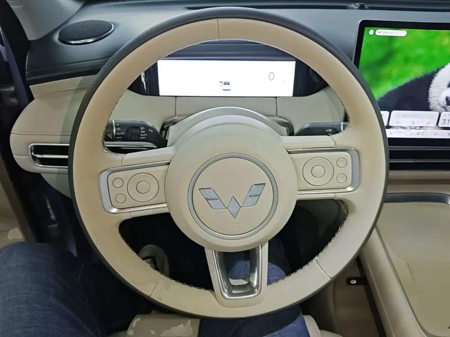 Wuling Bingo S 2025 Model 430km Flagship Edition — миниатюра 13