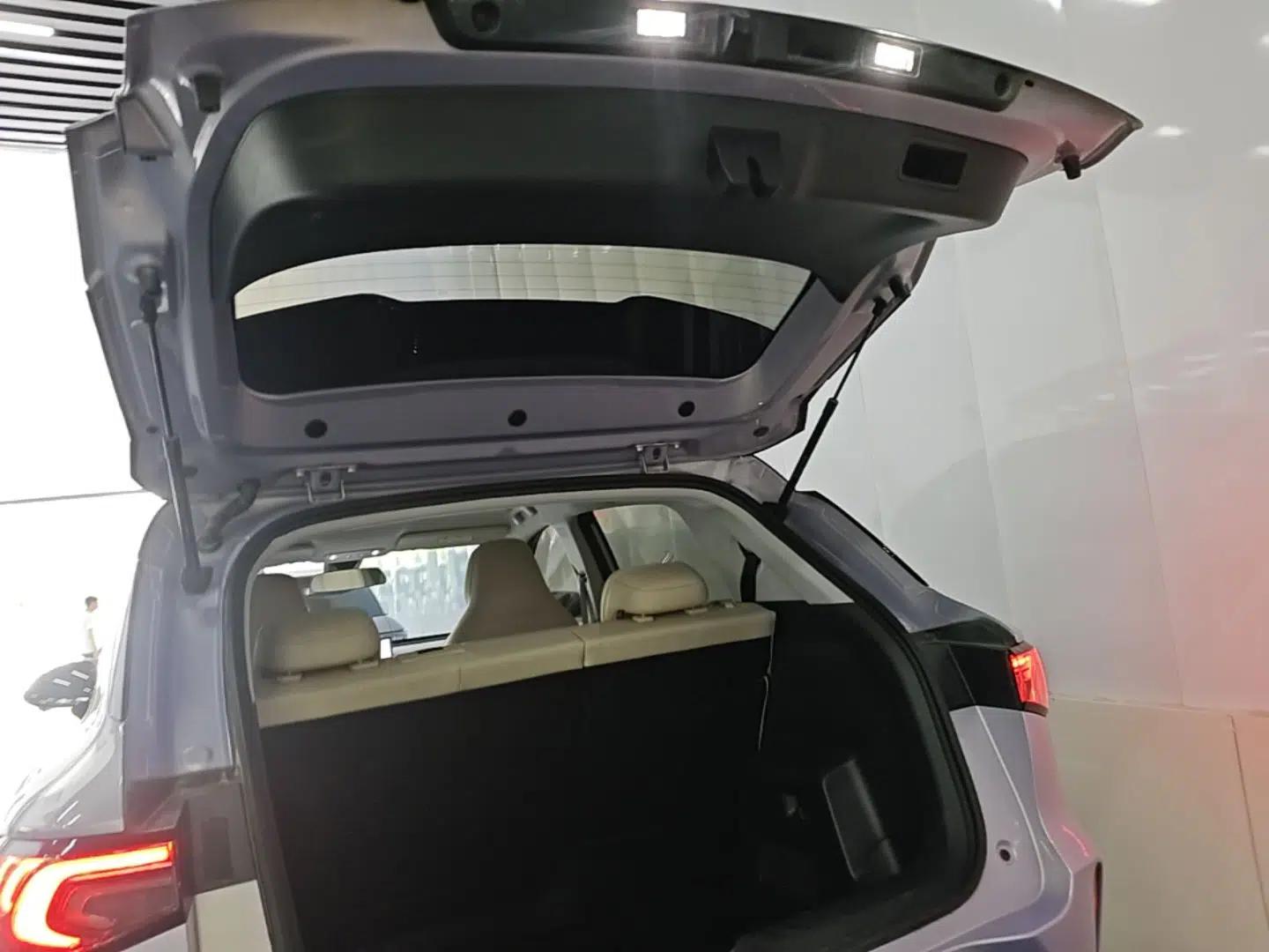 Wuling Bingo S 2025 Model 430km Flagship Edition — миниатюра 22