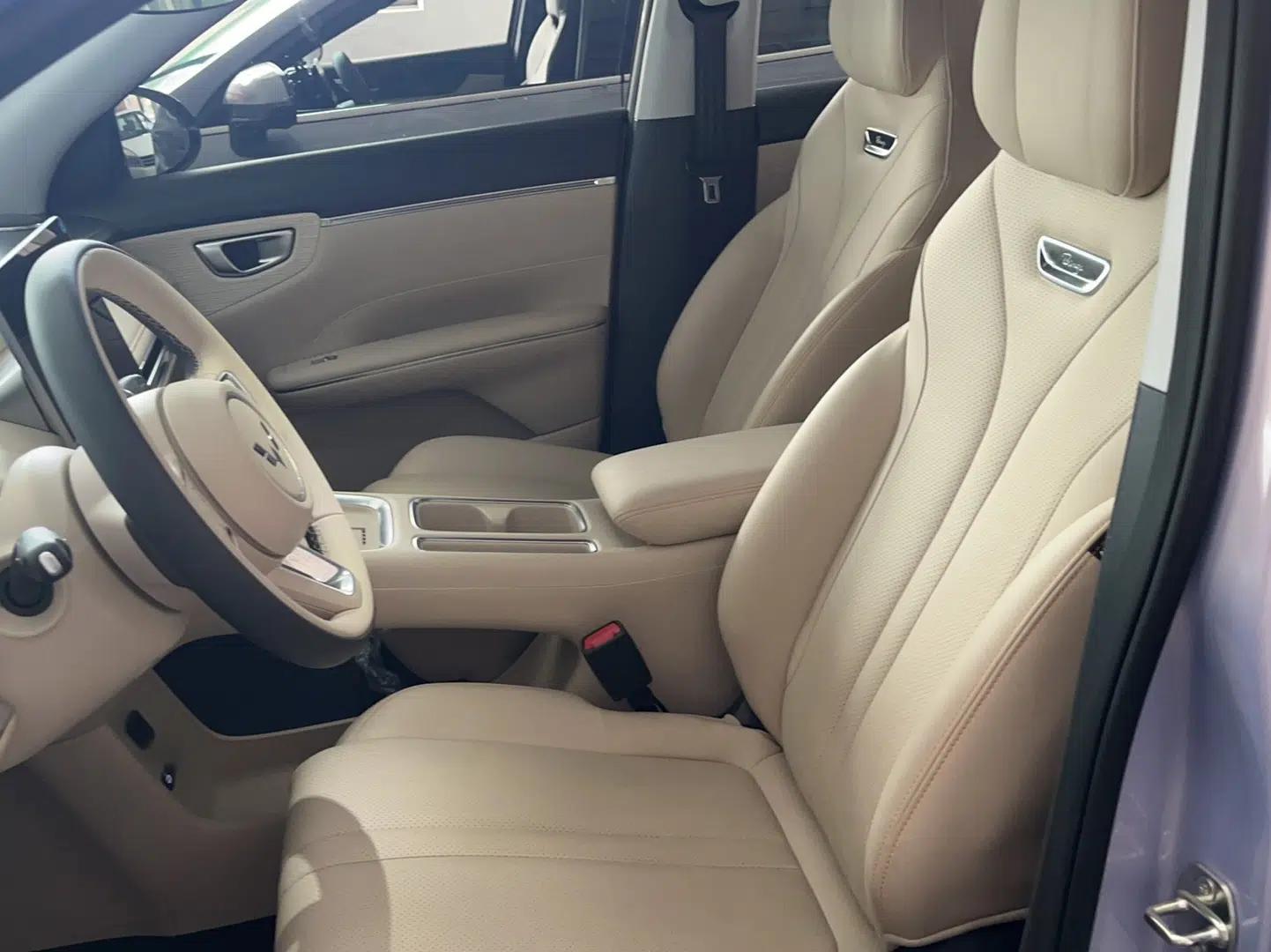 Wuling Bingo S 2025 Model 430km Flagship Edition — миниатюра 14