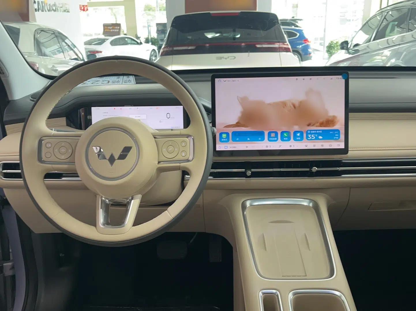 Wuling Bingo S 2025 Model 430km Flagship Edition — миниатюра 19