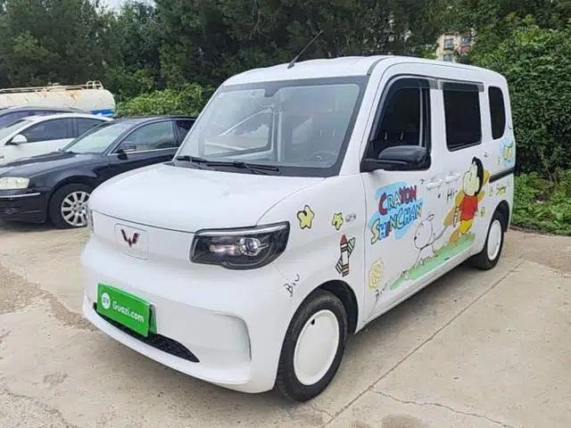 Wuling Zhiguang New Energy 2025 Standard Model