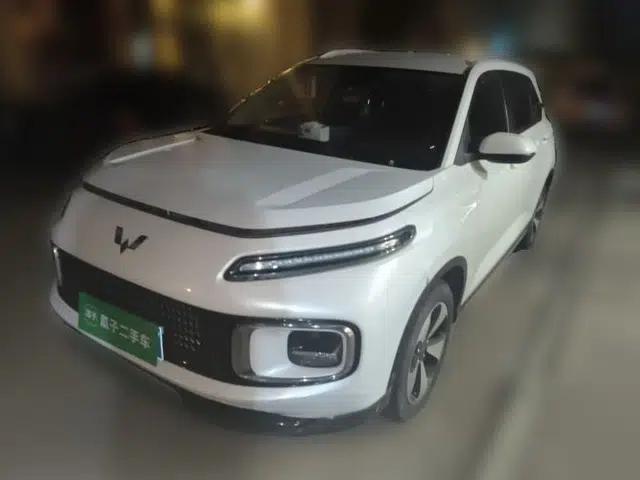 Wuling Xingyun 2023 2.0L DHT Standard Edition