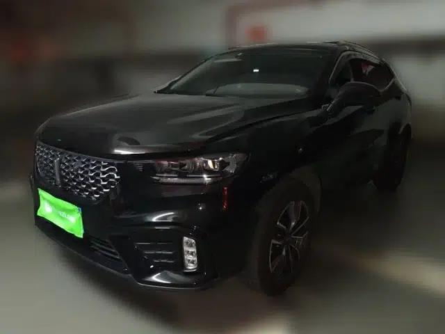 Wey VV5 2020 1.5T Two-Wheel Drive Color Pioneer