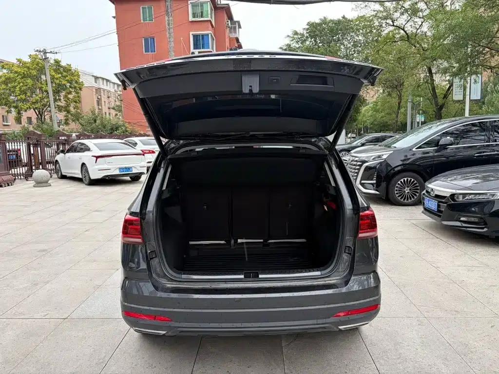 Tharu 2022 280TSI 2WD Flagship Edition — миниатюра 11