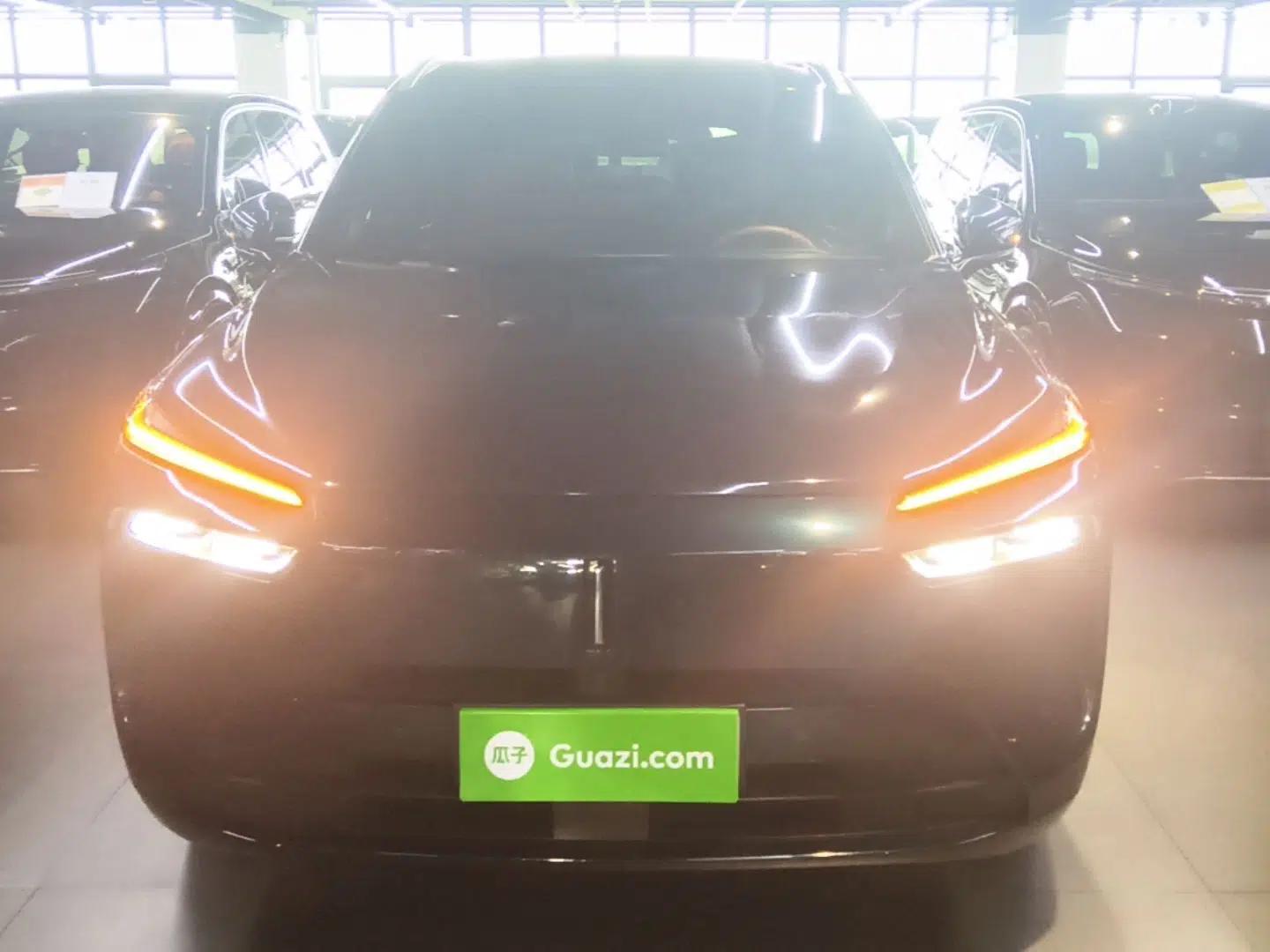Wey Lanshan 2023 Four-Wheel Drive Ultra-Long Range Version — миниатюра 2