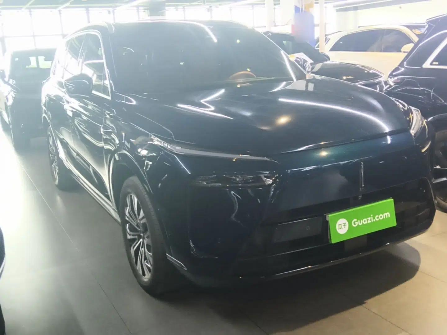 Wey Lanshan 2023 Four-Wheel Drive Ultra-Long Range Version — миниатюра 3