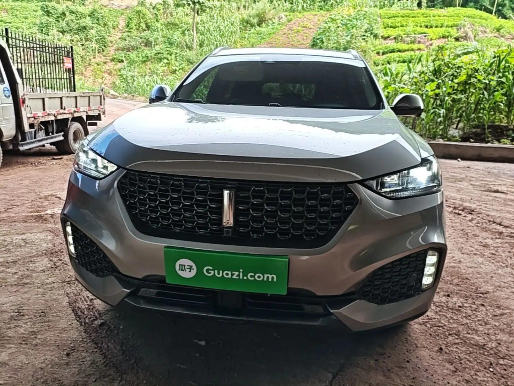 Wey VV6 2020 2.0T Two-Wheel Drive Smart Enjoyment+ — миниатюра 2