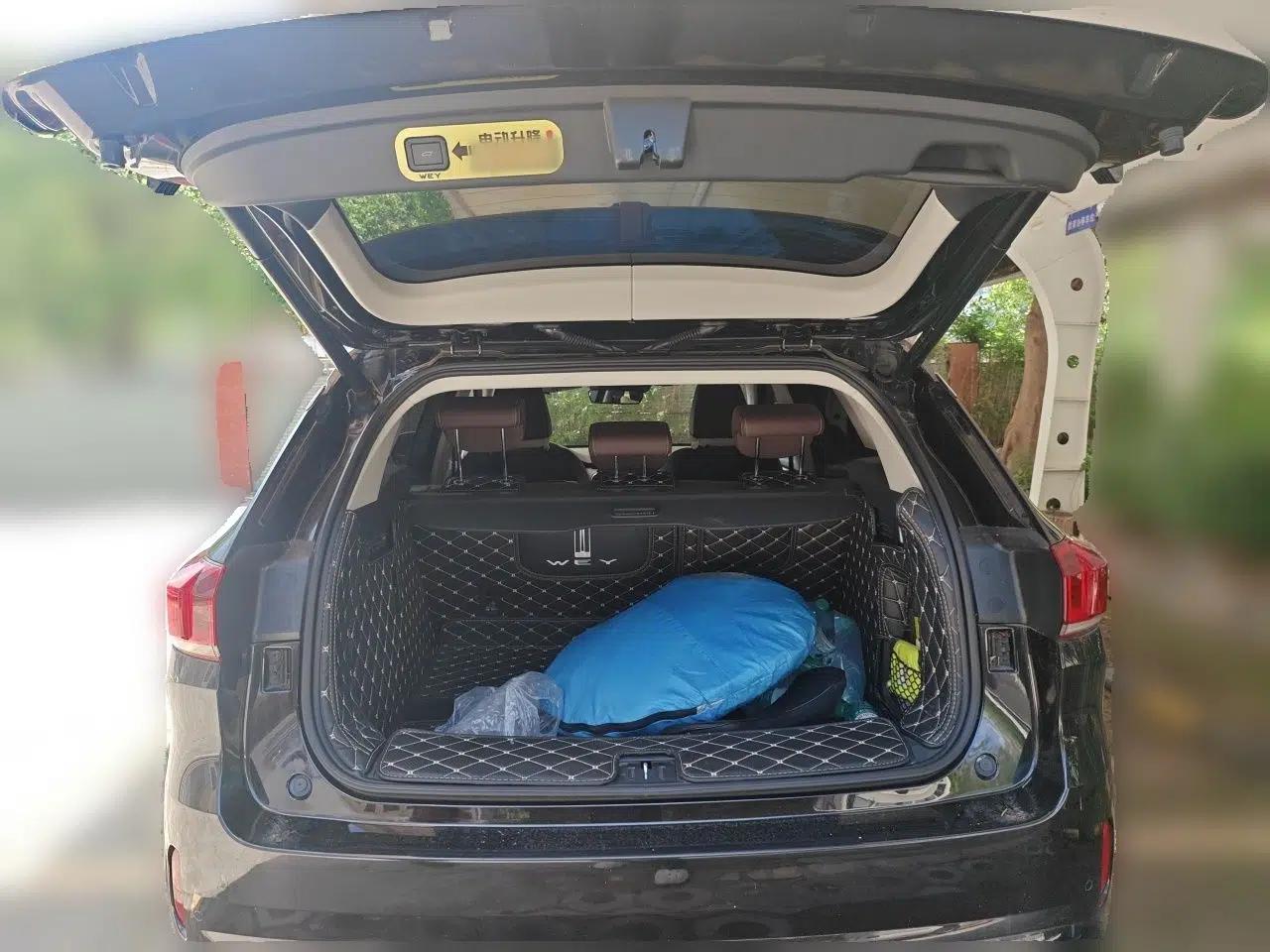 Wey VV6 2021 2.0T Two-Wheel Drive Smart Plus — миниатюра 19