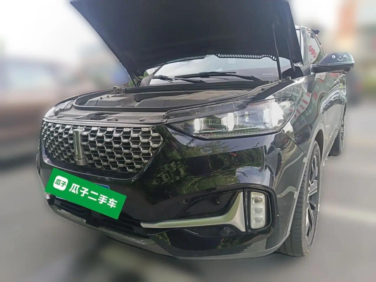 Wey VV6 2020 2.0T Two-Wheel Drive Smart Protection+ — миниатюра 1