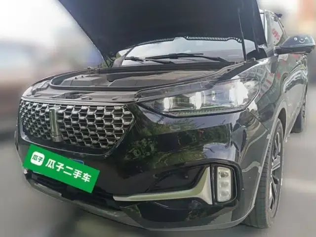 Wey VV6 2020 2.0T Two-Wheel Drive Smart Protection+