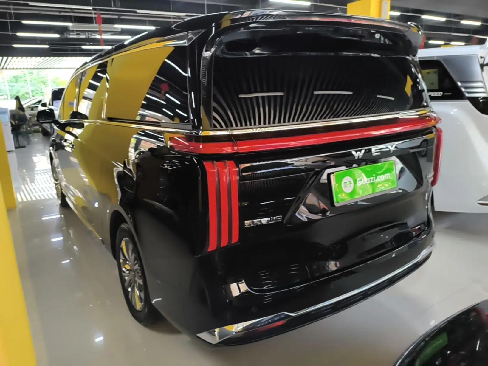 Wey Gaoshan 2025 Four-Wheel Drive Alpine 9 — миниатюра 4