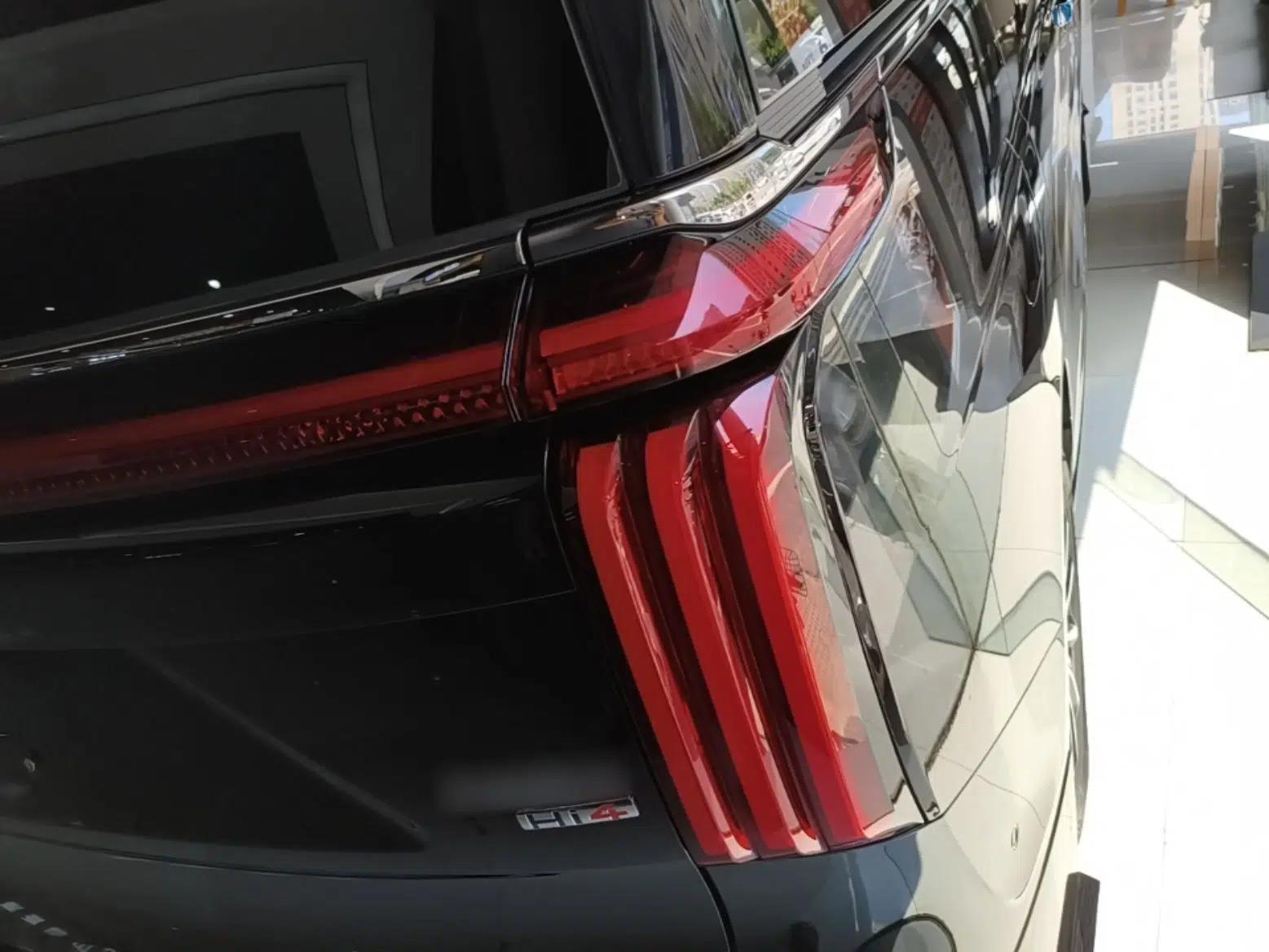 Wey Gaoshan 2026 Model Four-Wheel Drive Gaoshan 7 SUV Edition — миниатюра 9