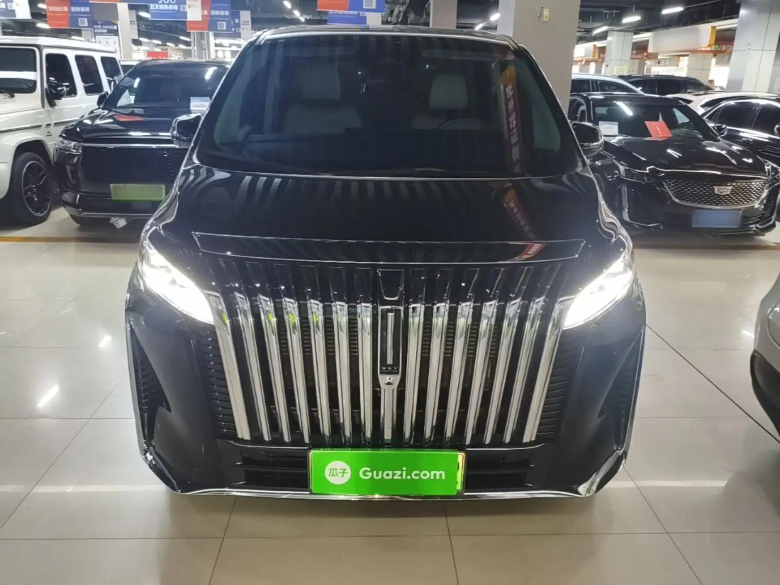 Wey Gaoshan 2023 Four-Wheel Drive Flagship Edition — миниатюра 2
