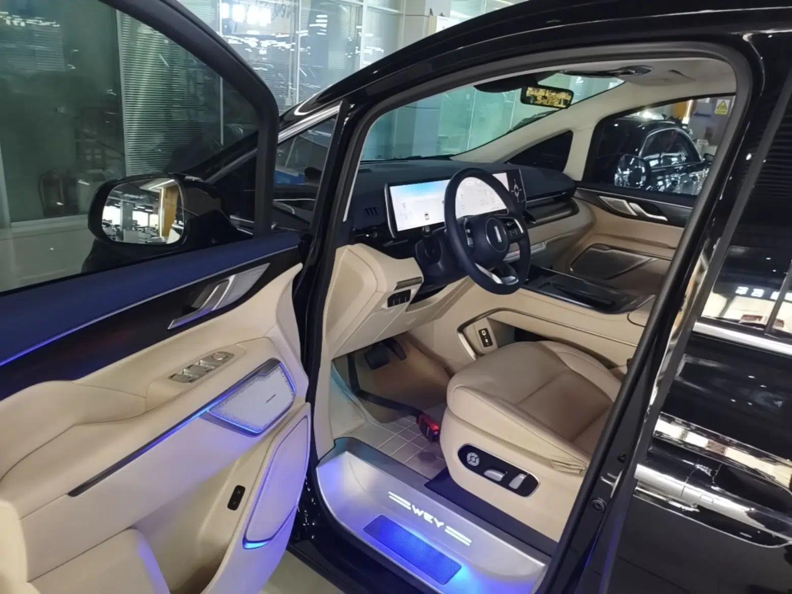 Wey Gaoshan 2023 Four-Wheel Drive Flagship Edition — миниатюра 18