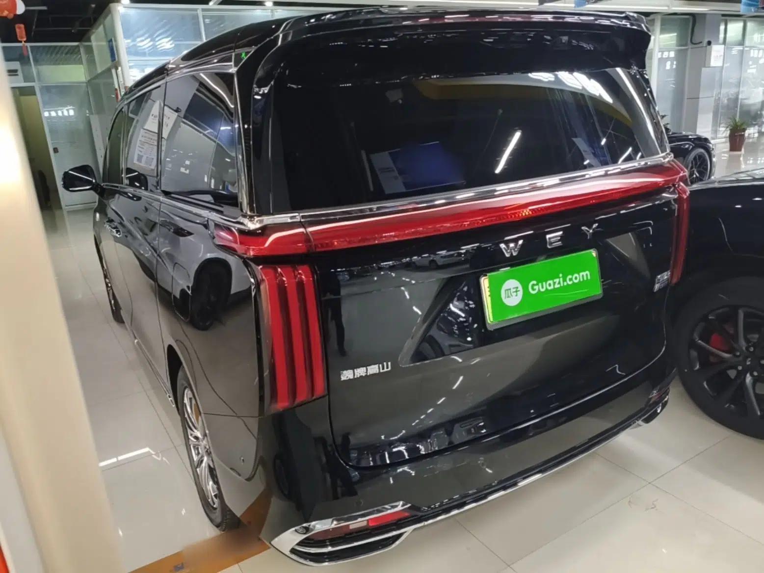 Wey Gaoshan 2023 Four-Wheel Drive Flagship Edition — миниатюра 4