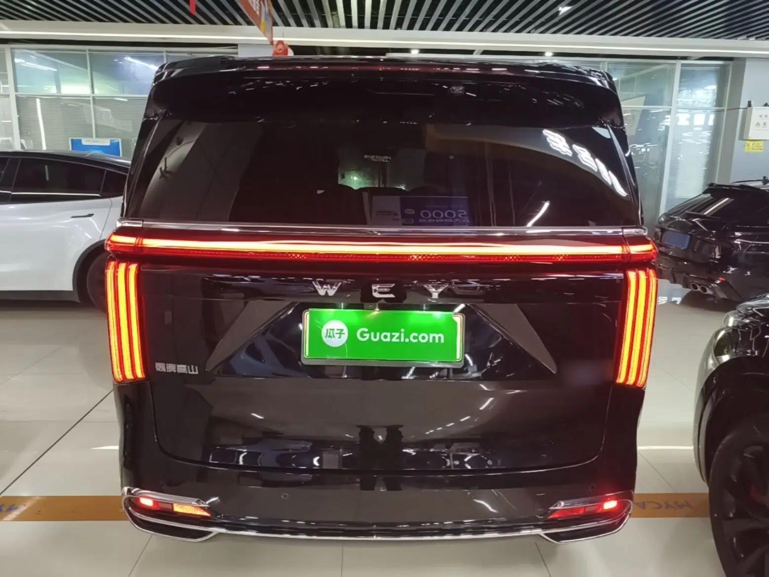 Wey Gaoshan 2023 Four-Wheel Drive Flagship Edition — миниатюра 5