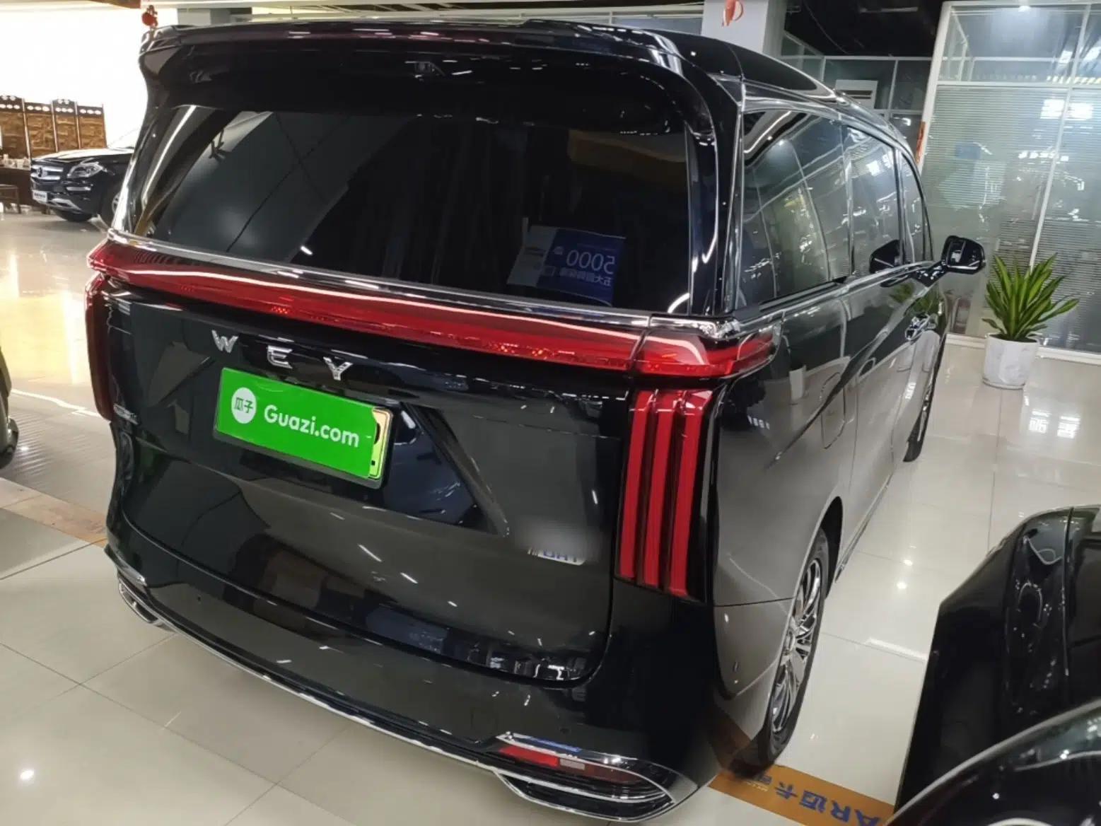 Wey Gaoshan 2023 Four-Wheel Drive Flagship Edition — миниатюра 6