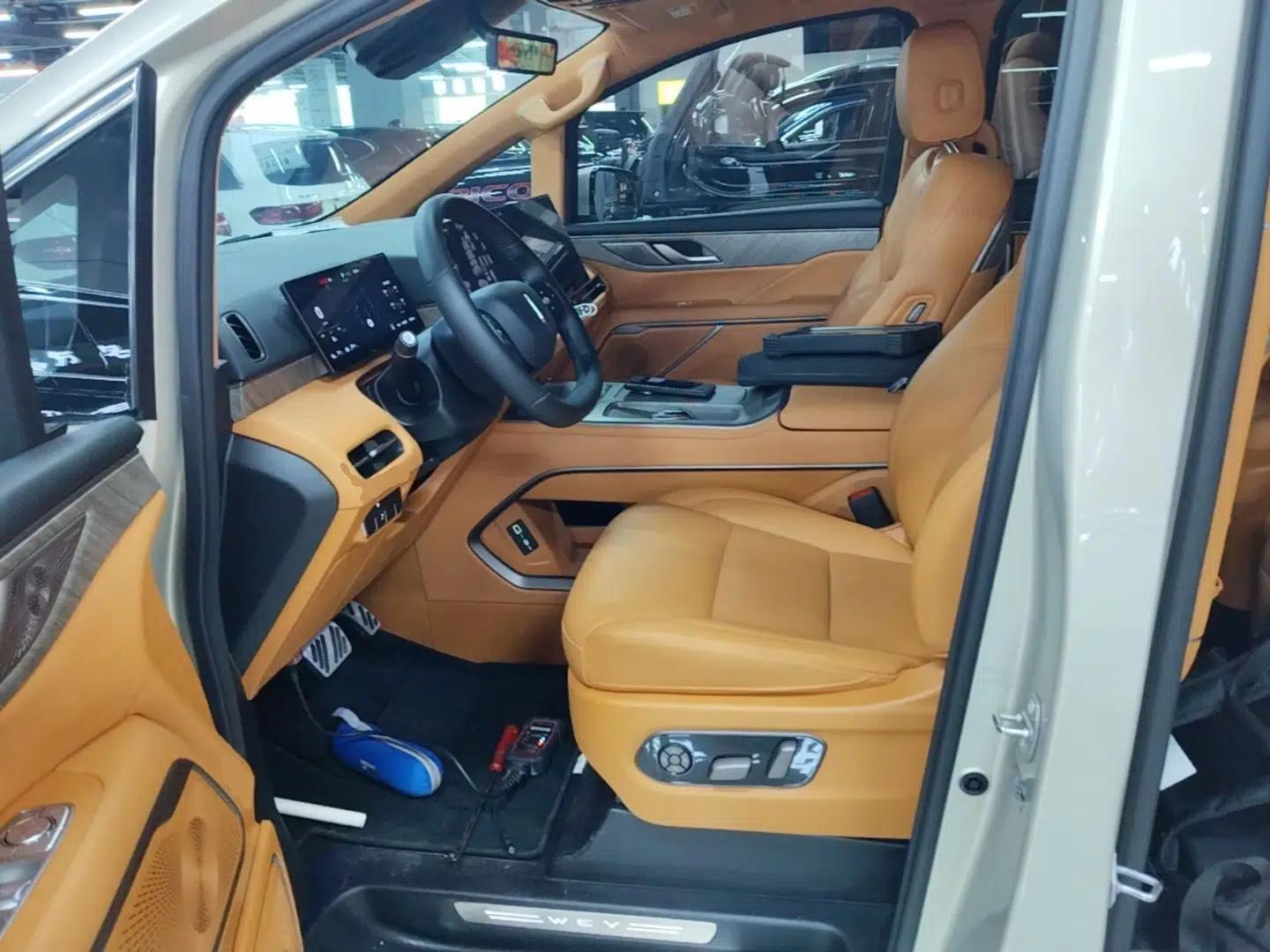 Wey Gaoshan 2025 Four-Wheel Drive Alpine 8 — миниатюра 22