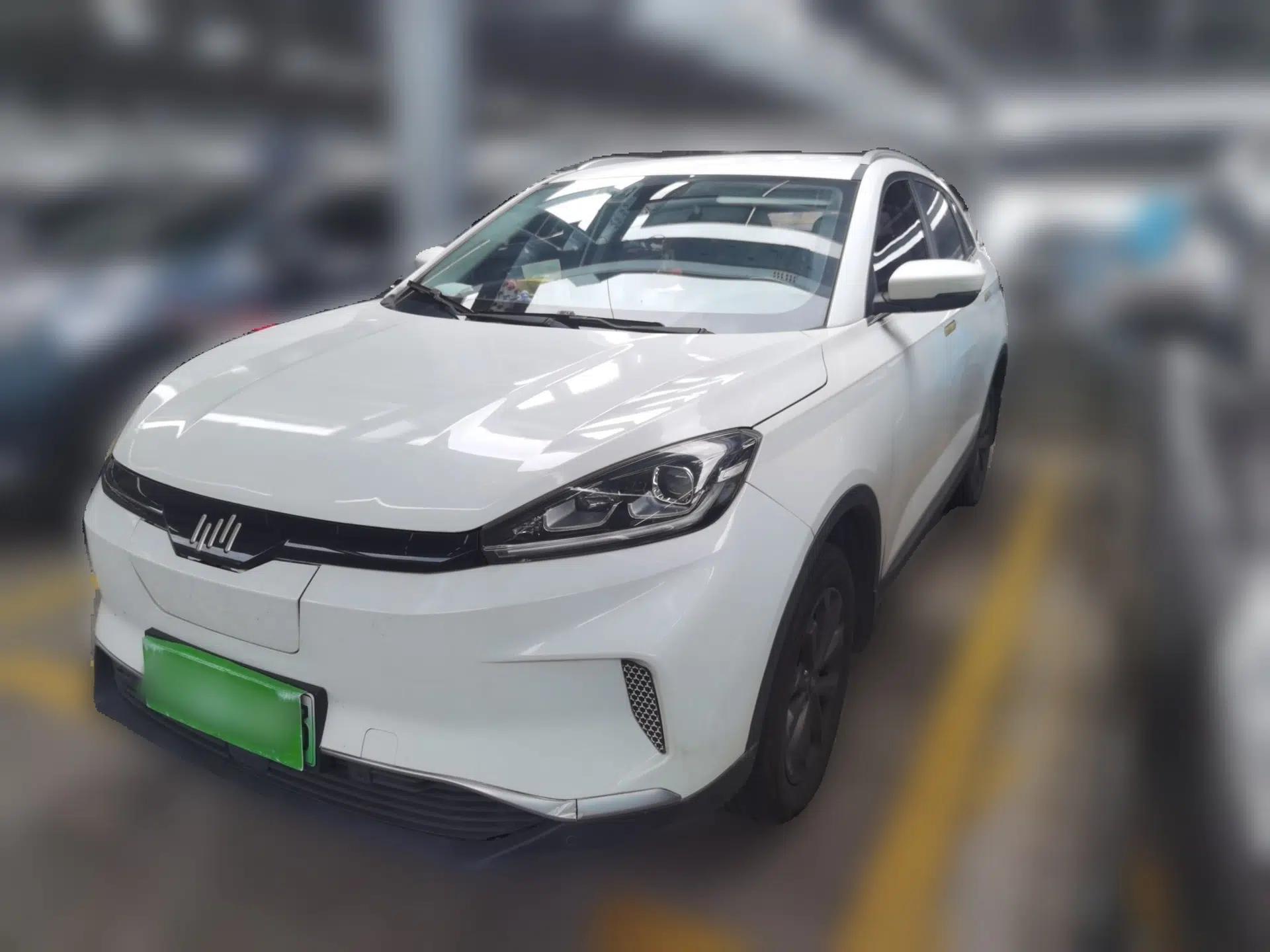 WM Motor EX5 2018 EX5 400 Lite Exploration Edition — миниатюра 1