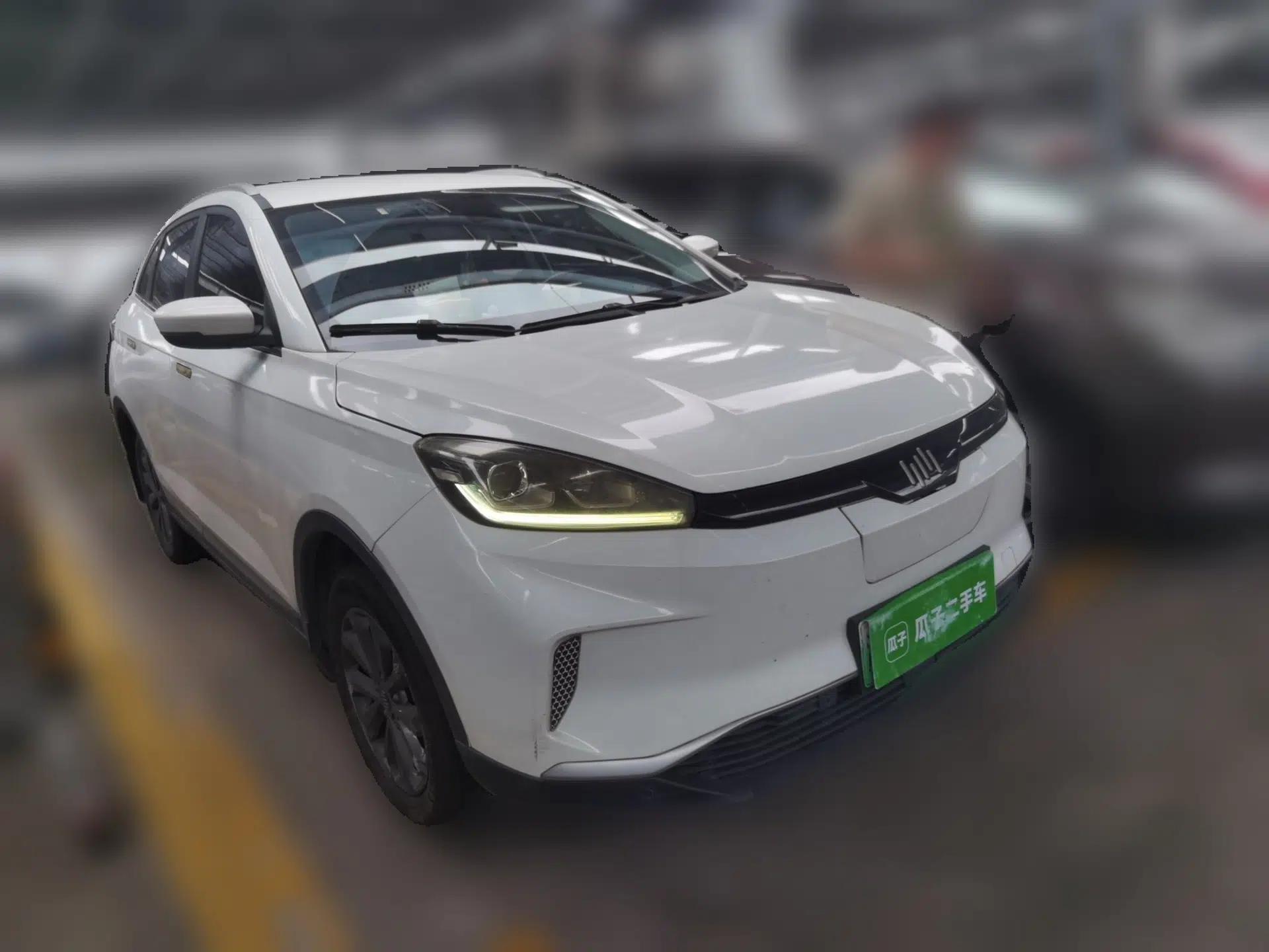 WM Motor EX5 2018 EX5 400 Lite Exploration Edition — миниатюра 3