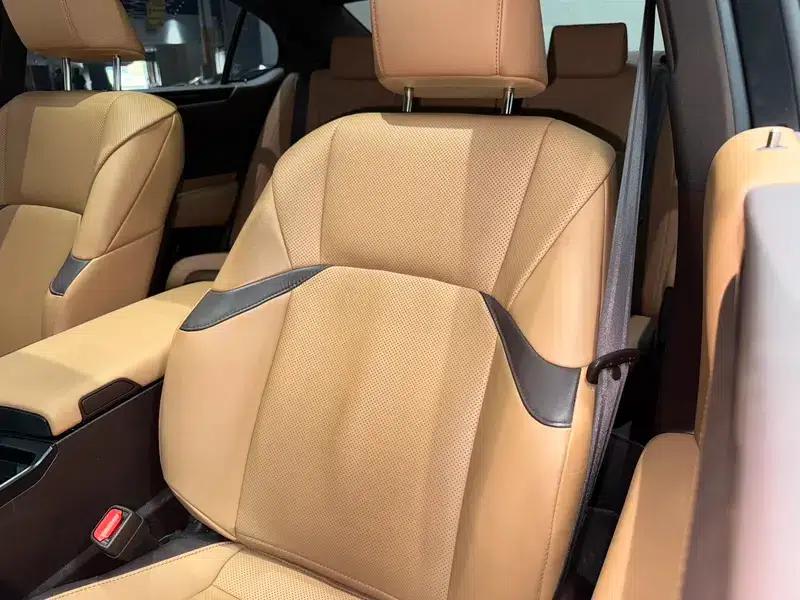 Lexus ES 2020 200 Premium Edition (China VI Emission Standard) — миниатюра 23