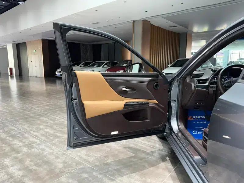 Lexus ES 2020 200 Premium Edition (China VI Emission Standard) — миниатюра 26