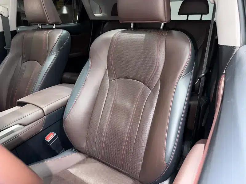 Lexus RX 2016 300 AWD Elegant Edition (China VI Emission Standard) — миниатюра 23