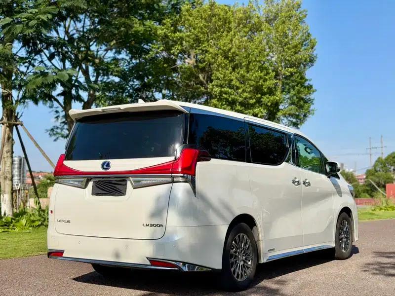 Lexus LM 2020 300h E-Four Four-Seat Executive Edition — миниатюра 6