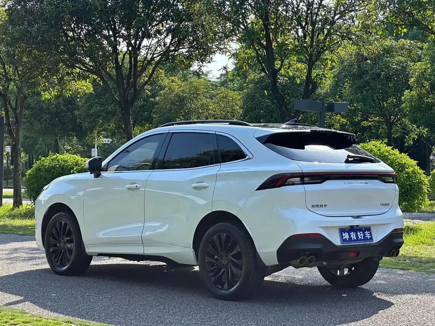 Fengxing T5 EVO 2021 1.5TD DCT Diamond Edition — миниатюра 4