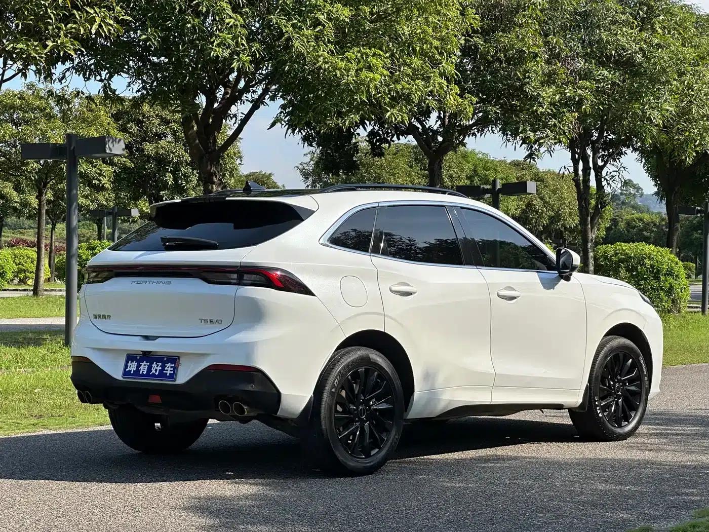 Fengxing T5 EVO 2021 1.5TD DCT Diamond Edition — миниатюра 6