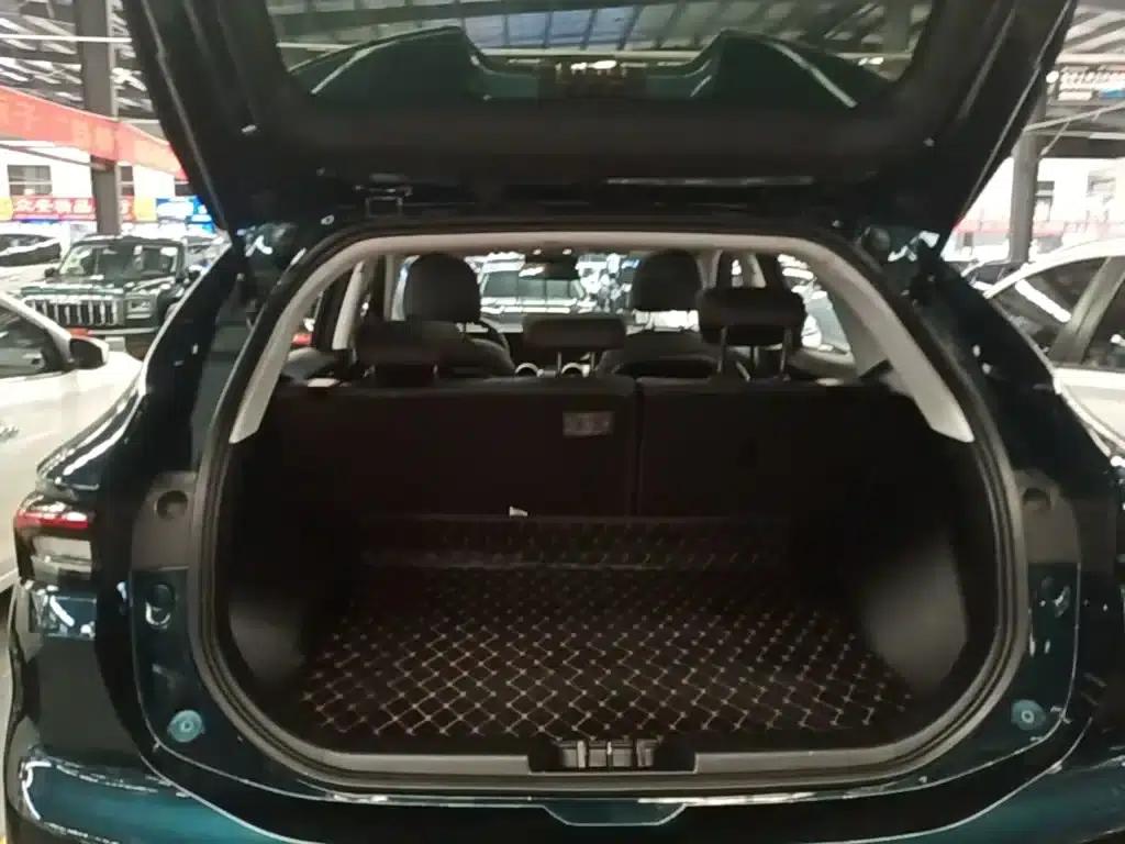 Fengxing T5 EVO 2021 1.5TD DCT Diamond Edition — миниатюра 19
