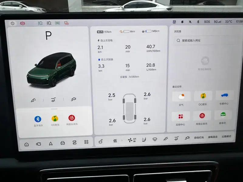 Li Auto L9 2022 Max Edition — миниатюра 11