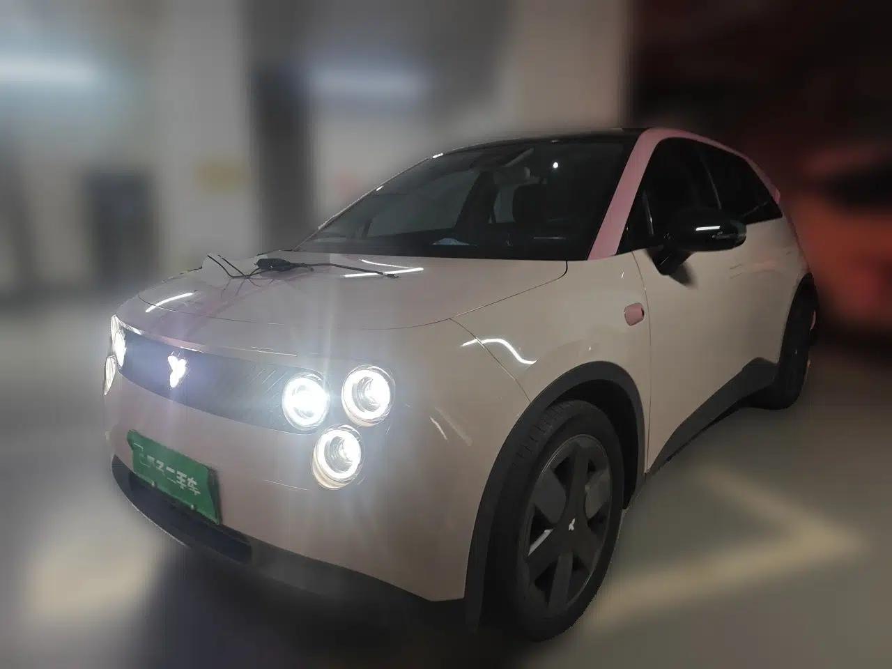 firefly 2025 Illuminated Edition — миниатюра 1