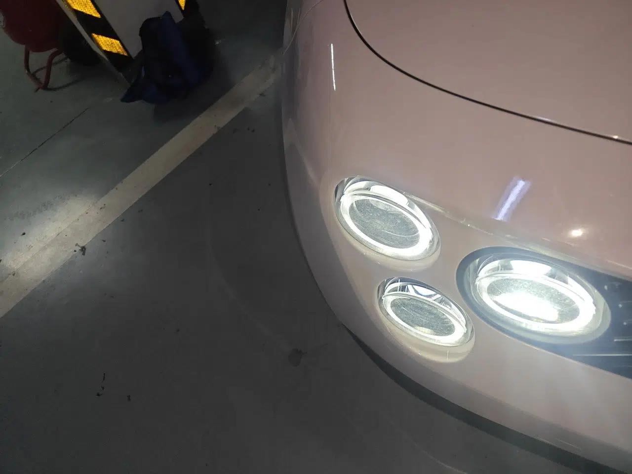 firefly 2025 Illuminated Edition — миниатюра 7