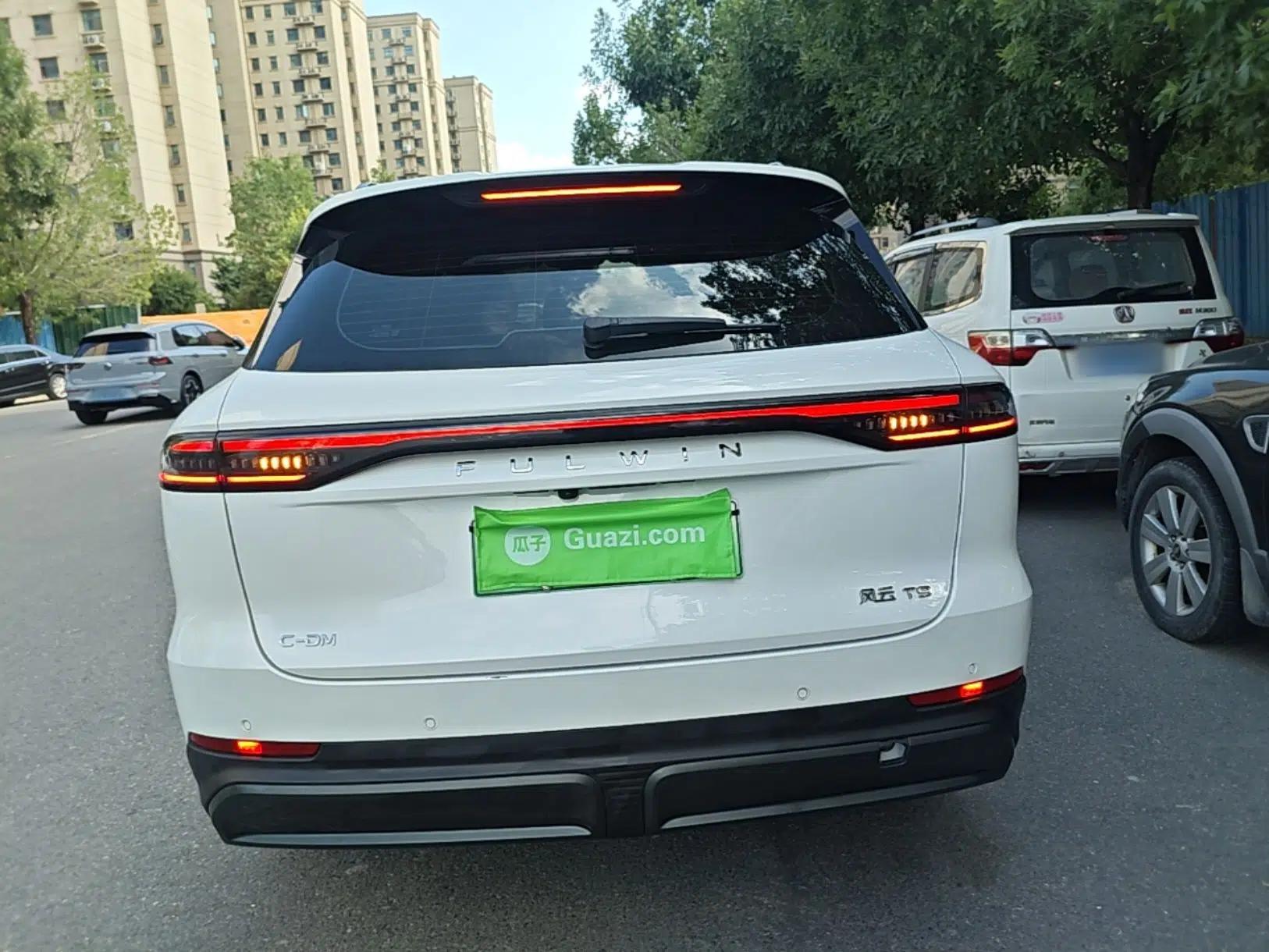 Chery Fengyun T9 2024 120 Long-Range Standard Version 5 Seats Lithium-NMC Battery — миниатюра 5