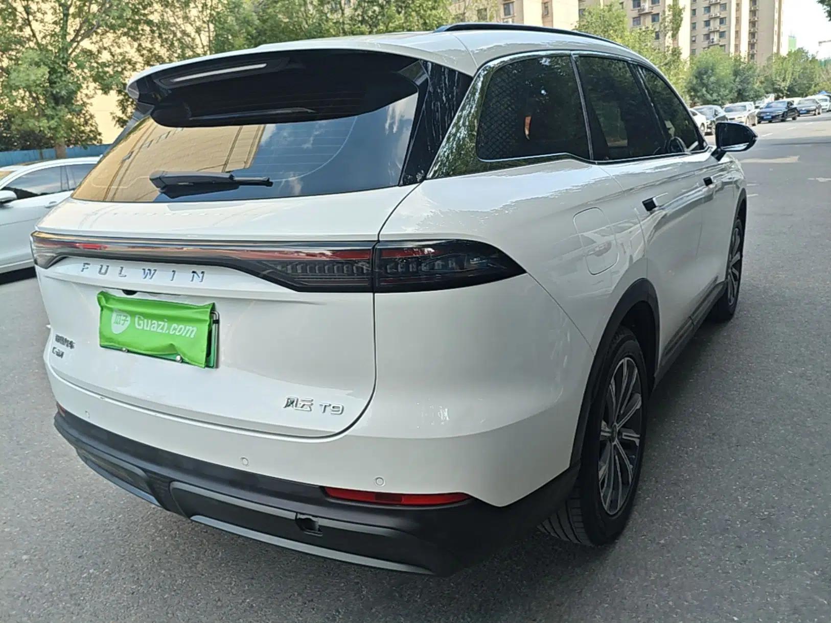 Chery Fengyun T9 2024 120 Long-Range Standard Version 5 Seats Lithium-NMC Battery — миниатюра 6